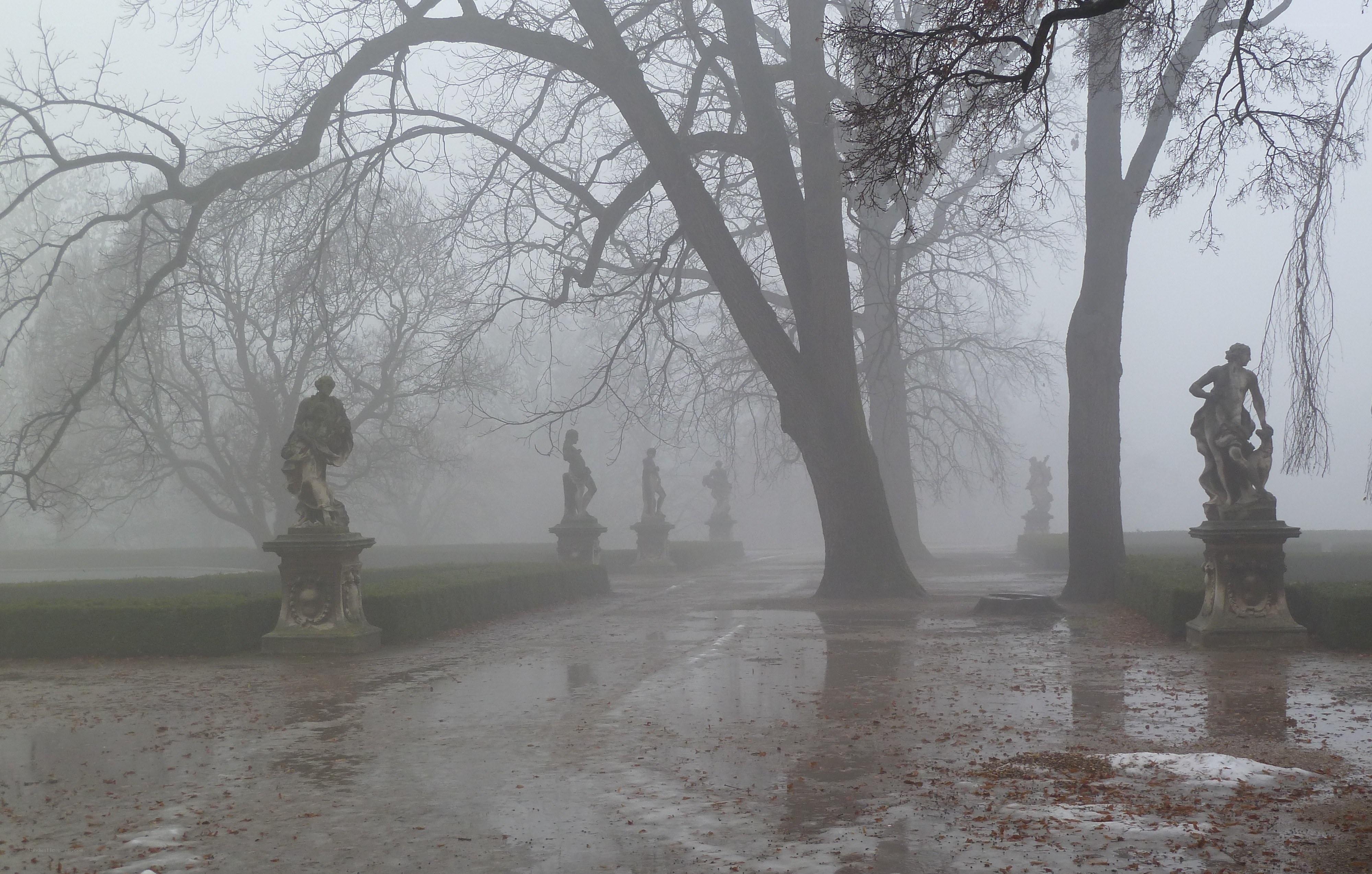 Foggy garden with statues
