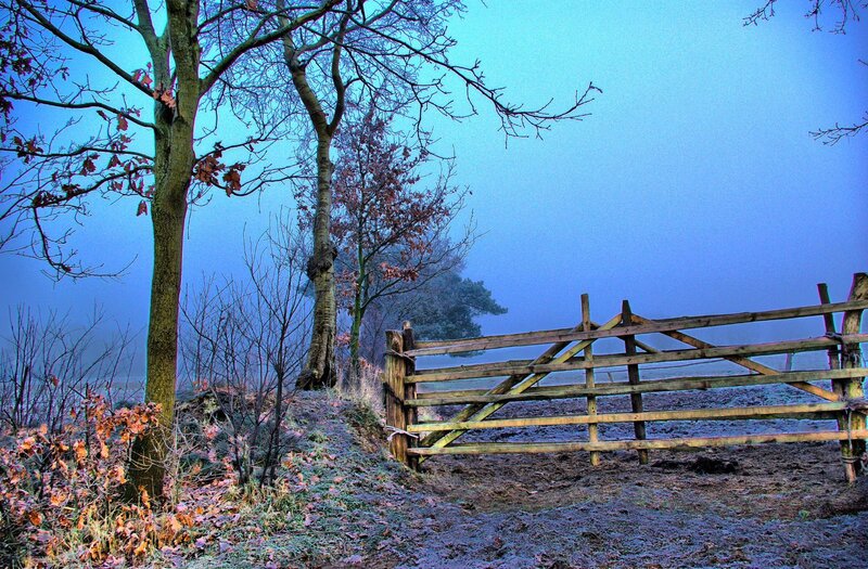 Foggy gate in autumn landscape