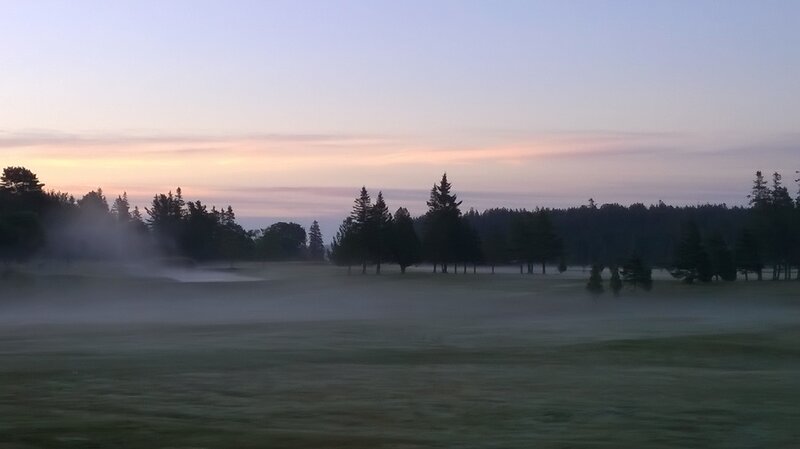 Foggy Golf Course