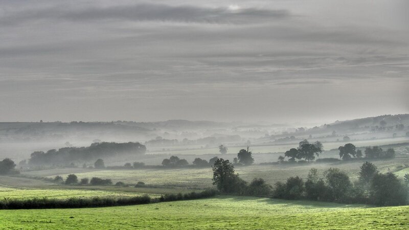 Foggy Green Fields