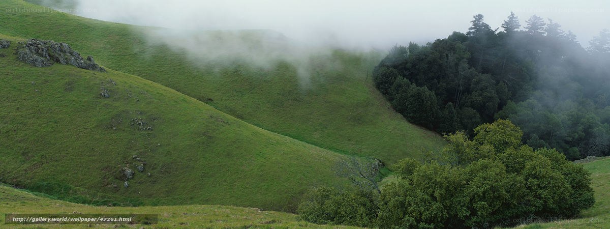 Foggy green hills landscape