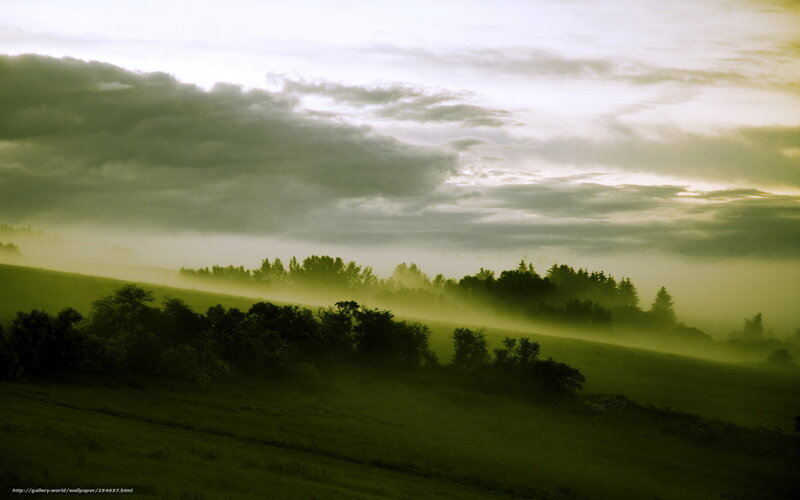Foggy Green Hills — Serene, Morning