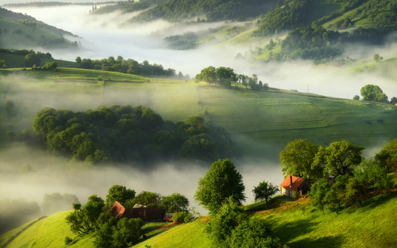 Foggy Green Hills — Serene