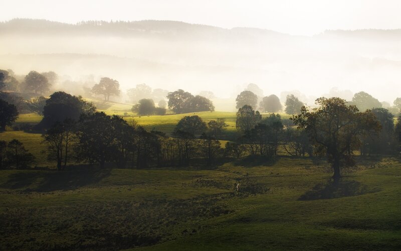 Foggy Green Hills