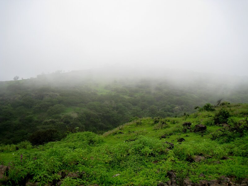 Foggy Green Hillside — Misty
