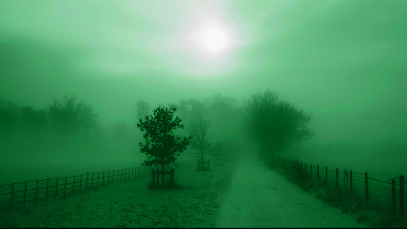 foggy green landscape