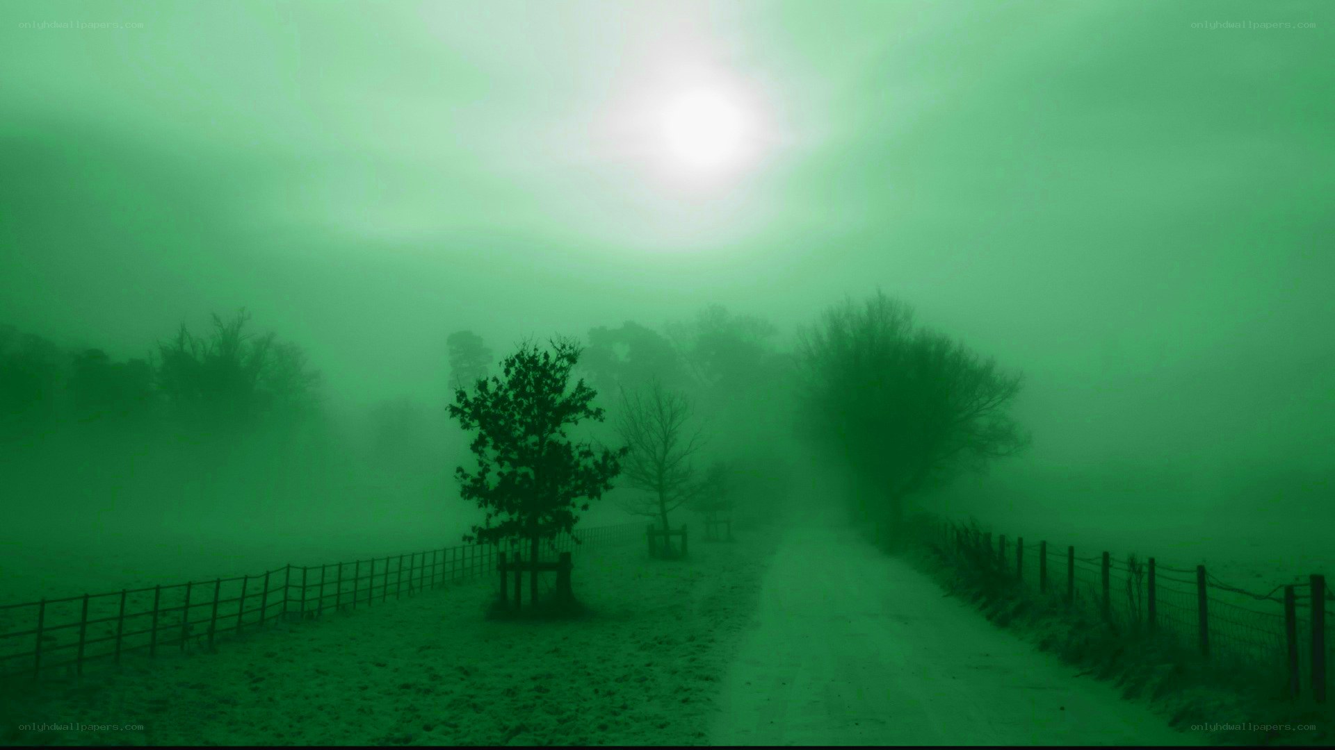 foggy green landscape