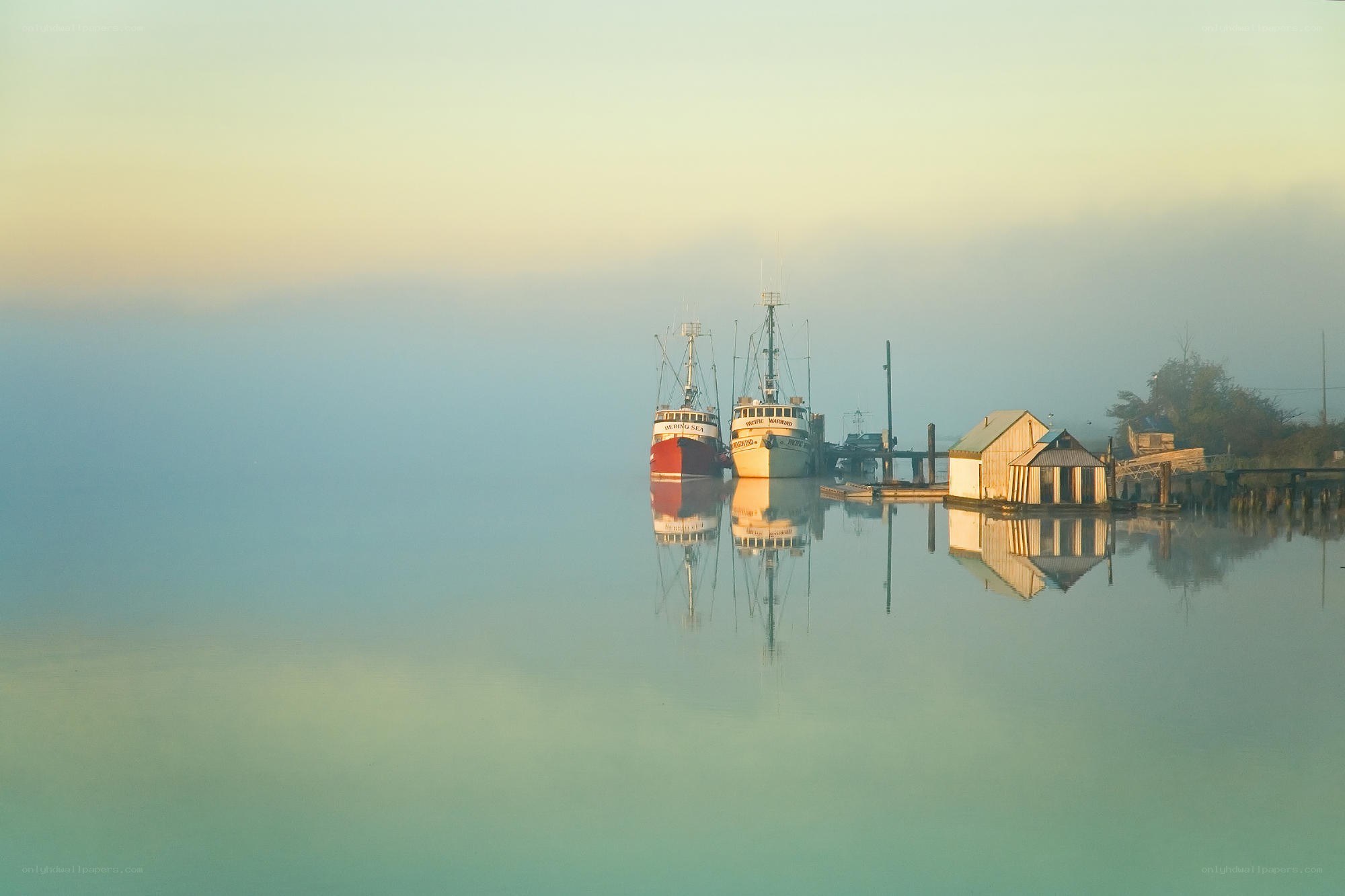 Foggy harbor at dawn