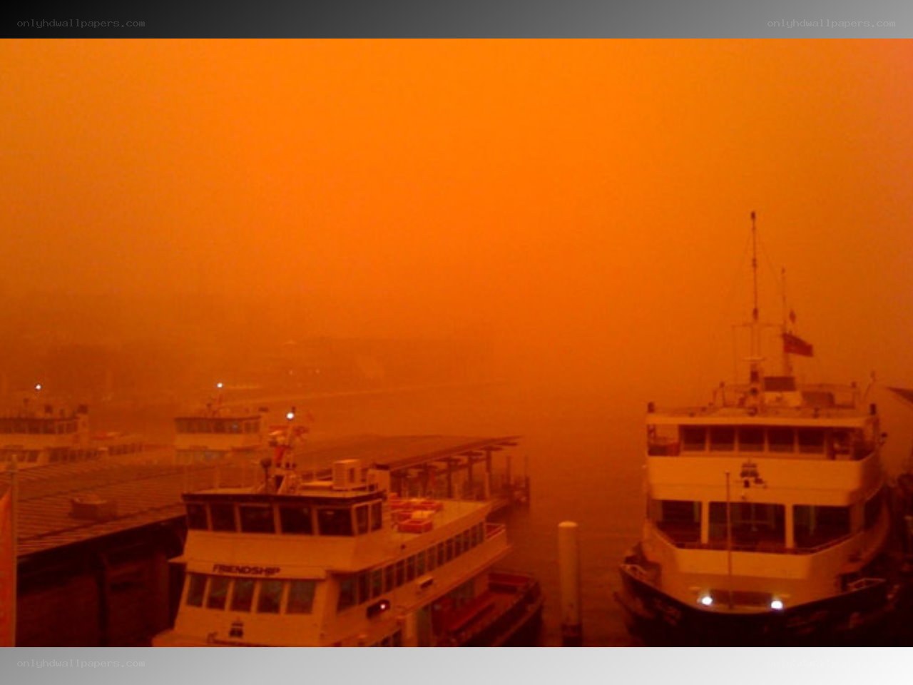 Foggy harbor with boats