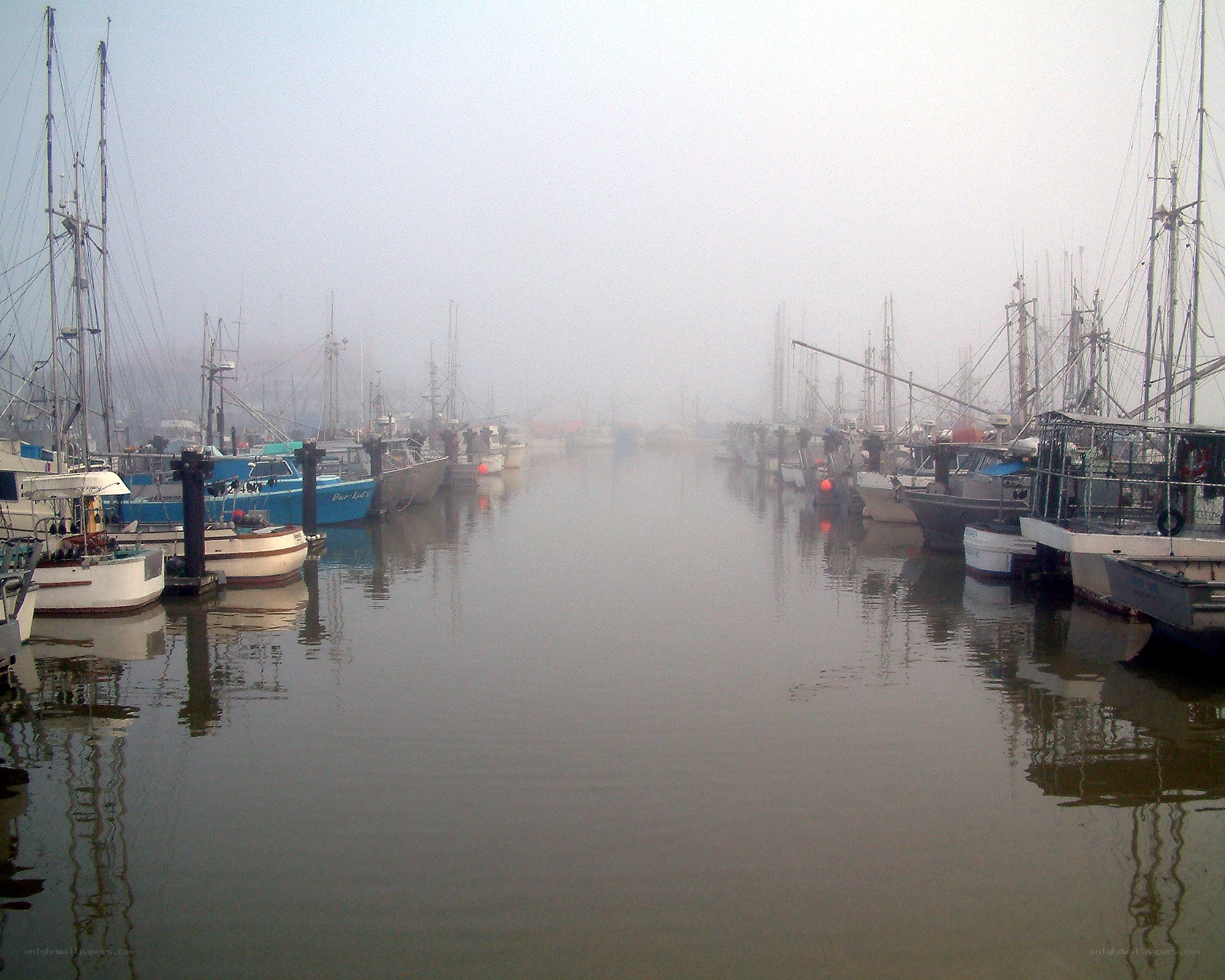 Foggy harbor with boats