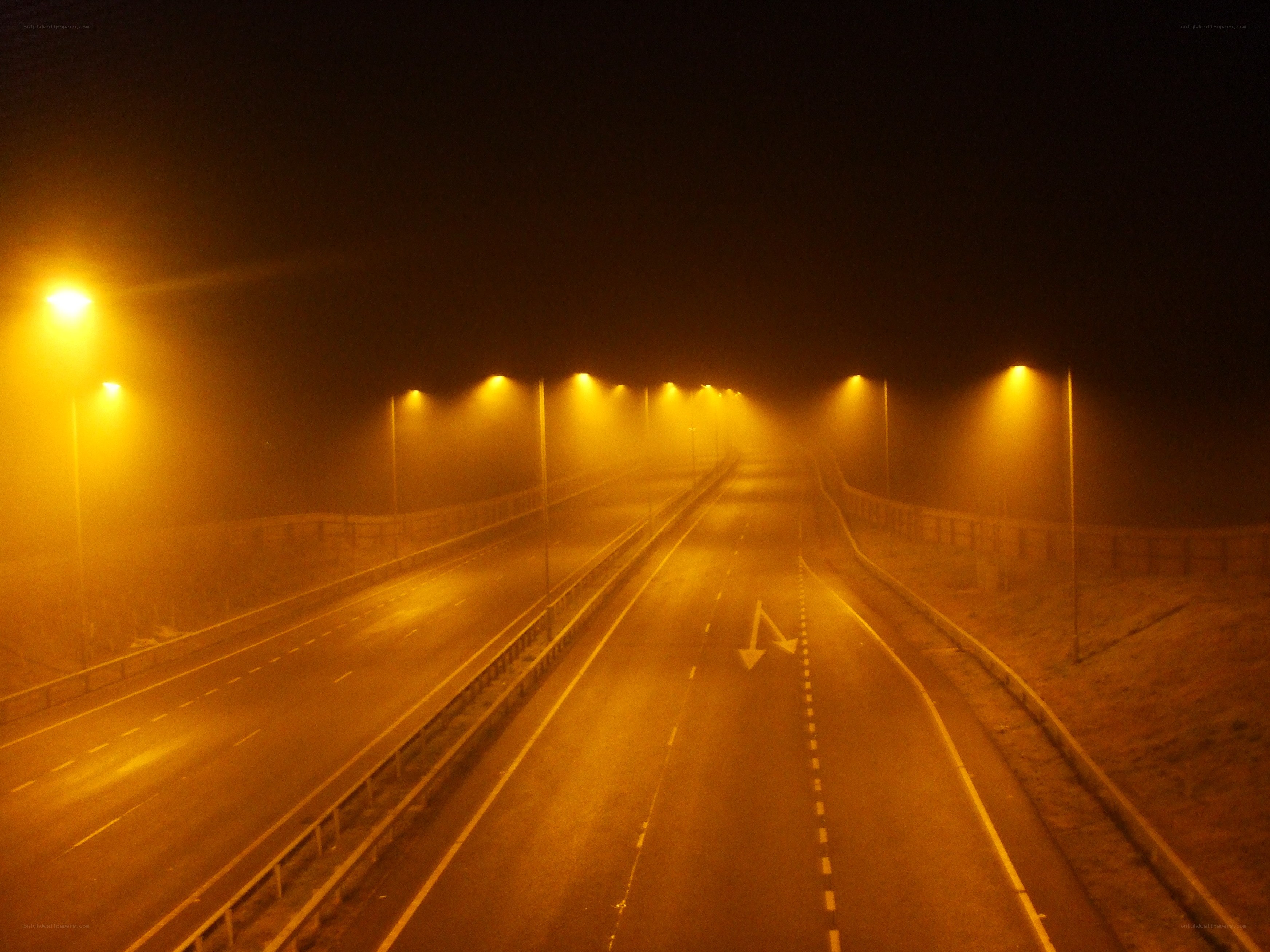 Foggy highway at night