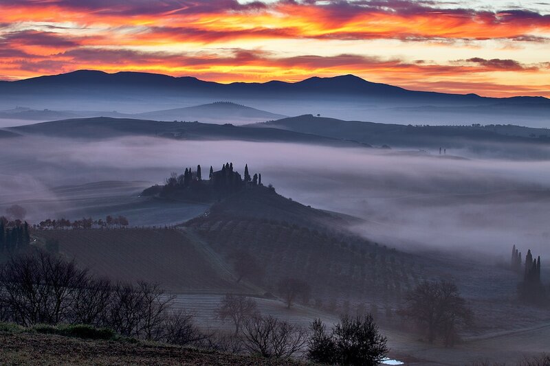 Foggy Hill with Cypress Trees