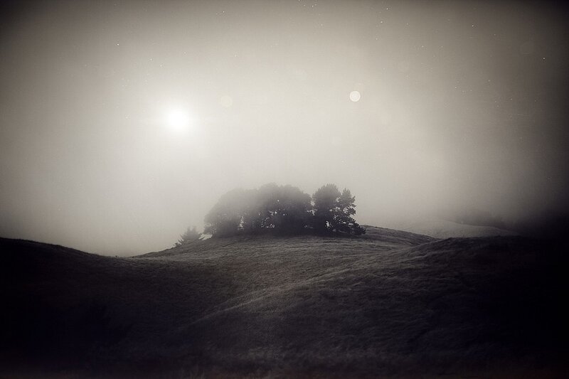 Foggy hill with trees