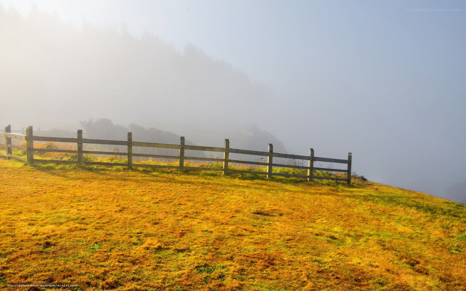Foggy Hill with Wooden Fence