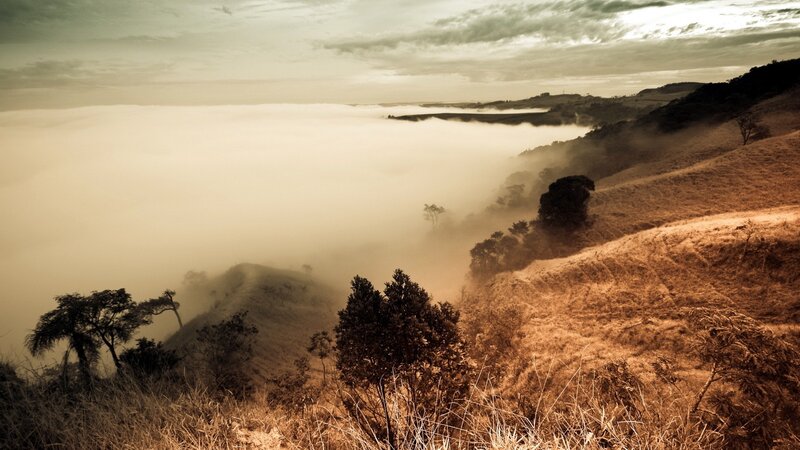 Foggy hills at dawn