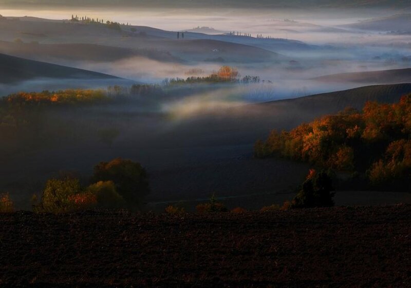Foggy Hills at Dawn — Brown