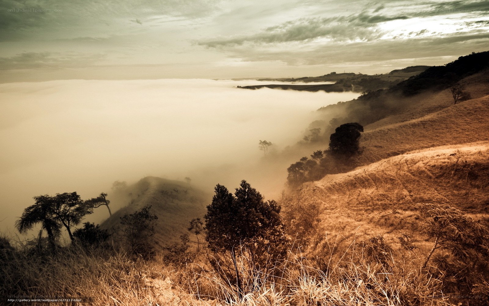Foggy Hills at Dawn