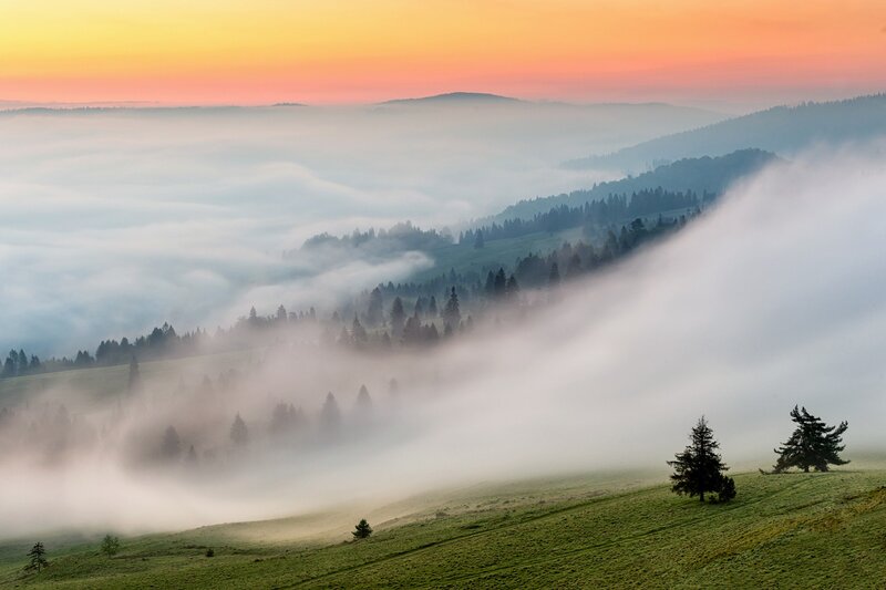 Foggy Hills at Sunrise — Green, Serene, Photograph, Trees