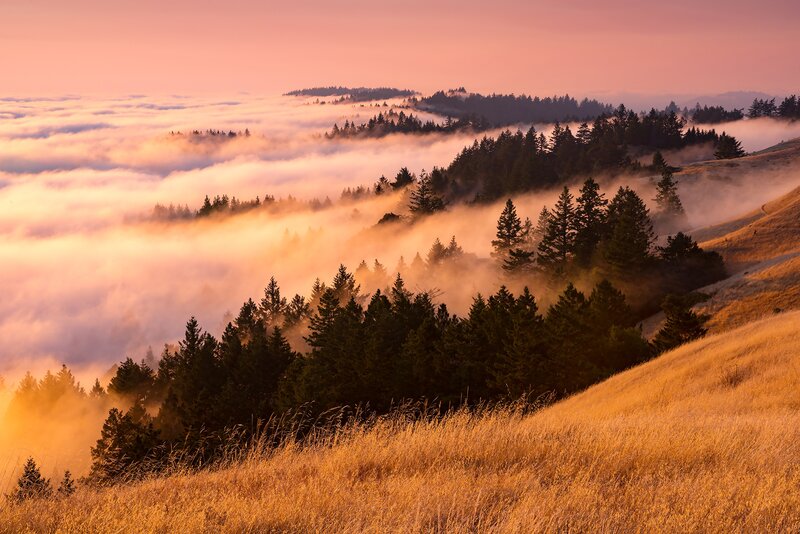 Foggy Hills at Sunrise — Orange, Serene, Photograph, Trees, Grass