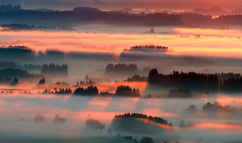 Foggy Hills at Sunrise — Orange, Serene