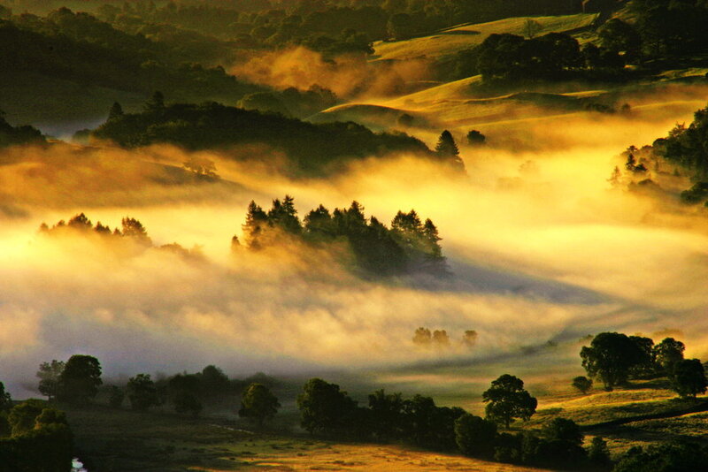 Foggy Hills at Sunrise — Yellow
