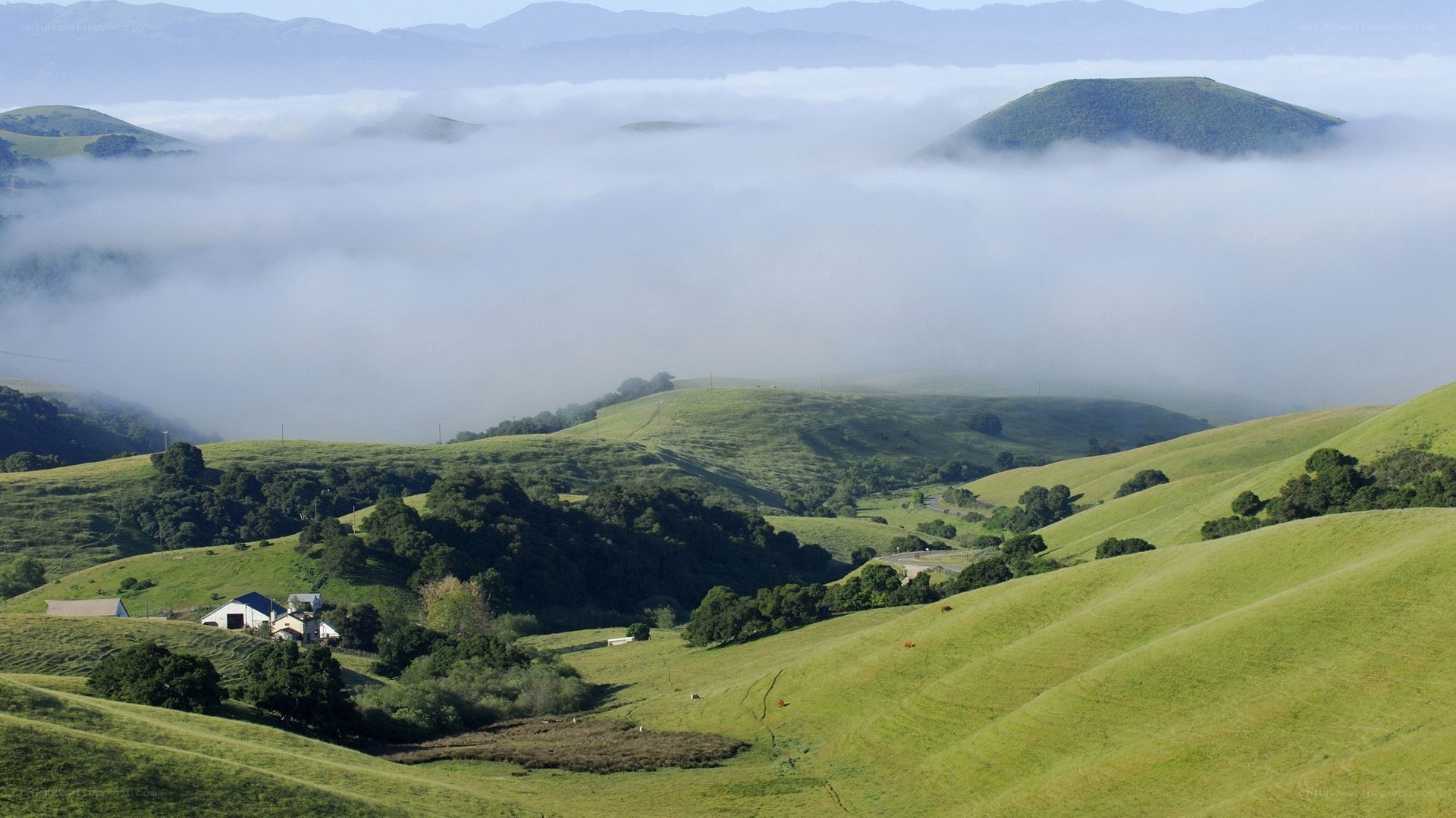 Foggy hills landscape