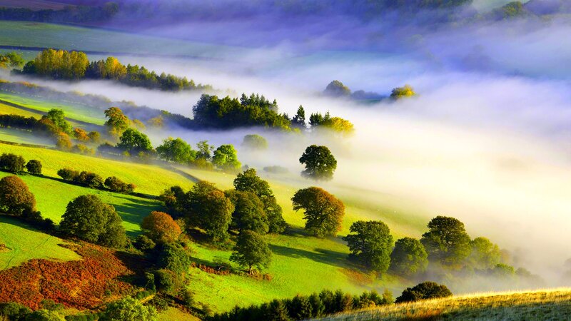 Foggy Hills with Trees