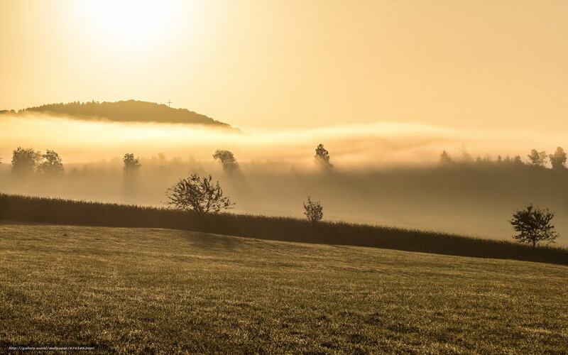 Foggy Hillside at Sunrise