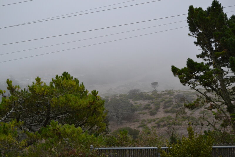 Foggy Hillside Landscape — Gray