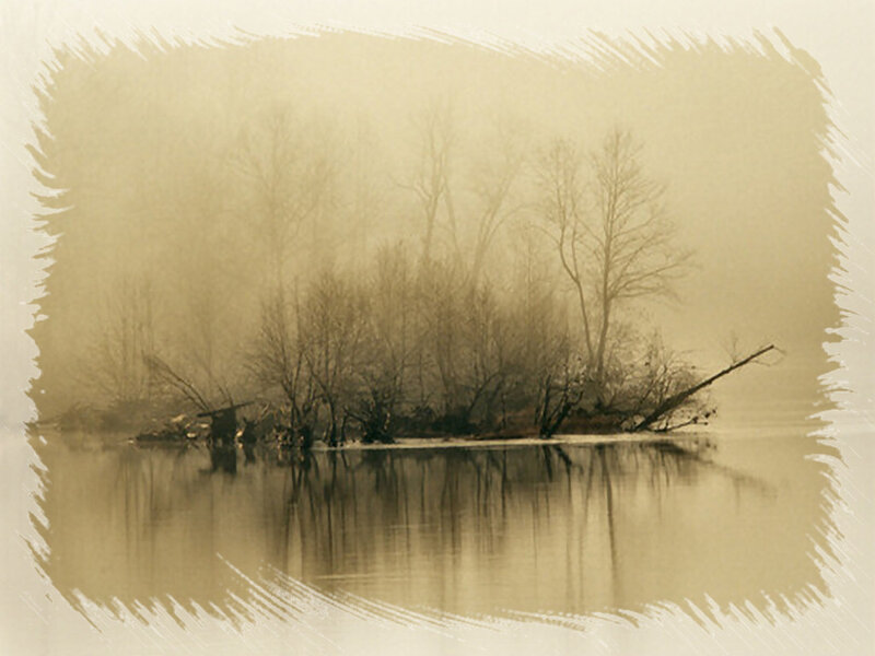 Foggy Island with Trees