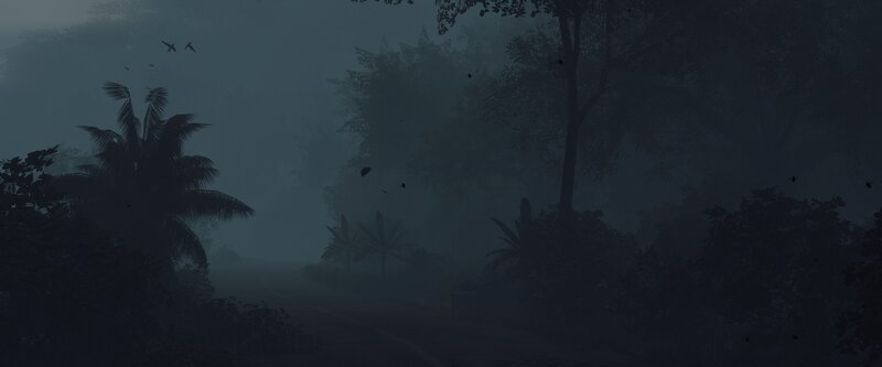 Foggy Jungle Path