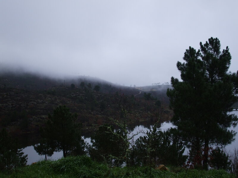 Foggy lake and forest landscape