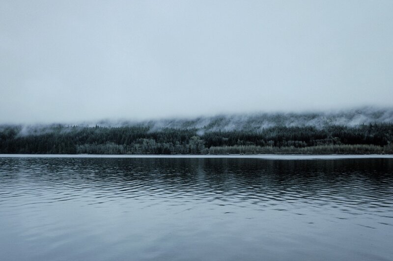 Foggy Lake and Forest
