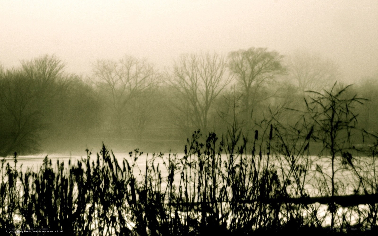 Foggy Lake at Dawn