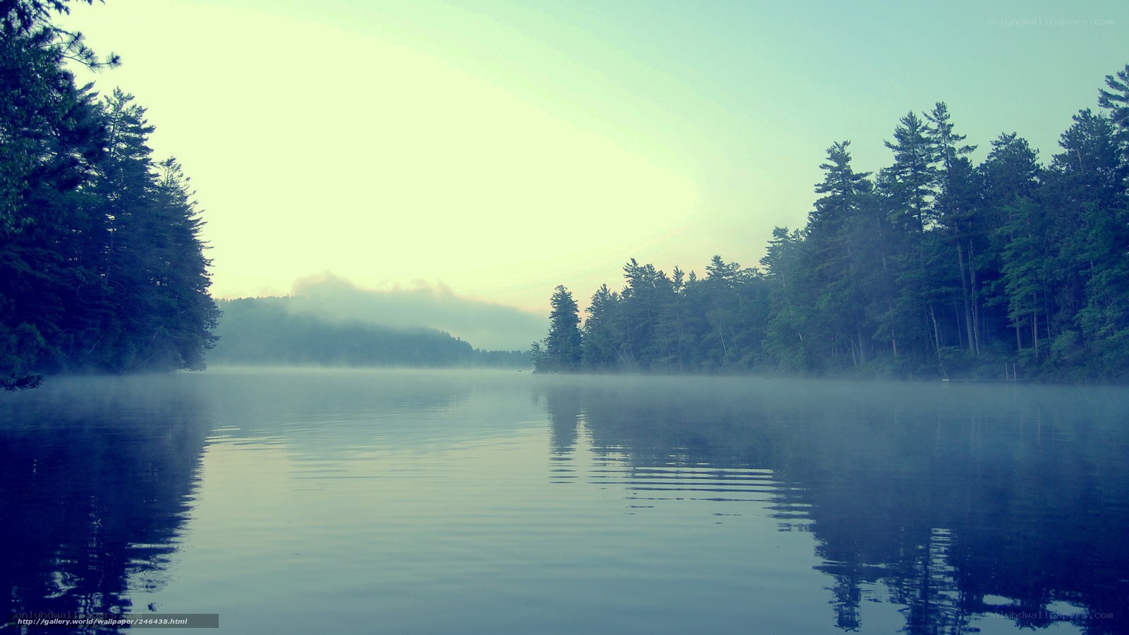 Foggy lake at dawn