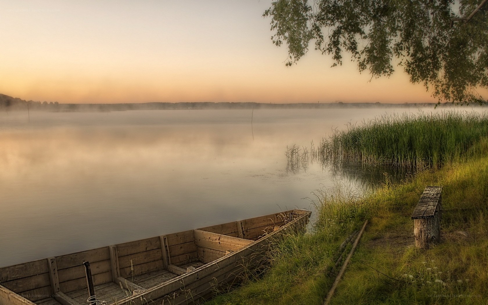 Foggy lake at dawn
