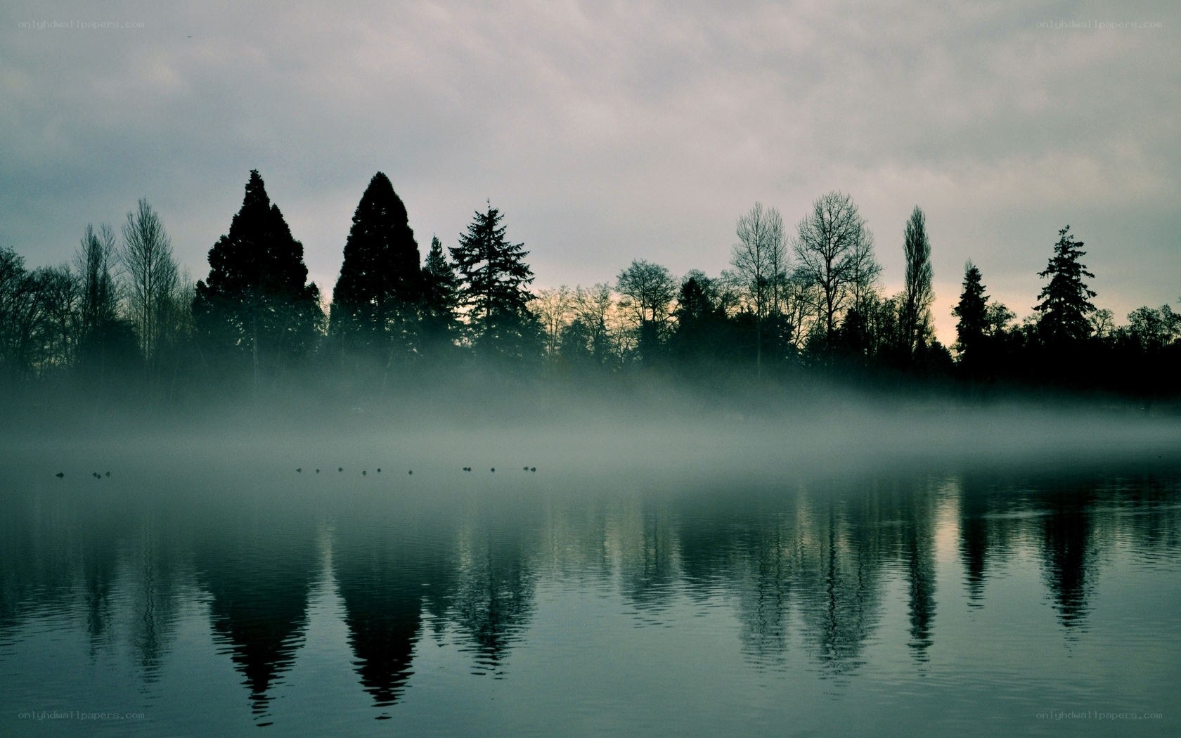 Foggy lake at dawn