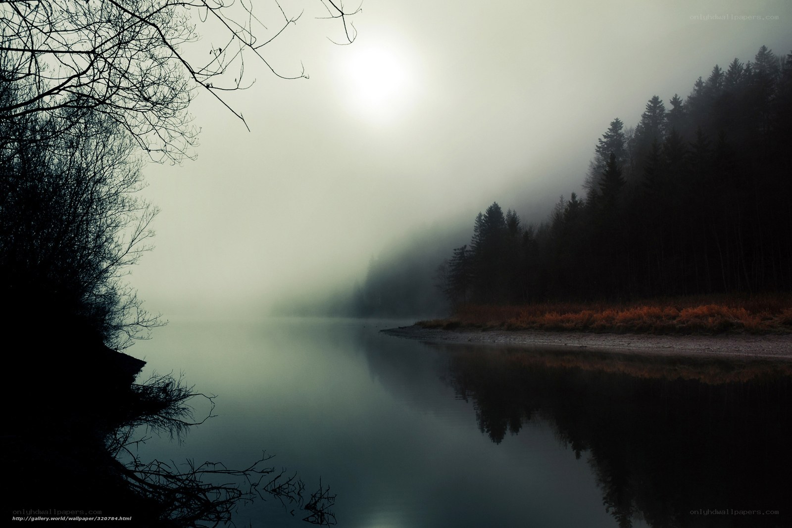 Foggy lake at dawn