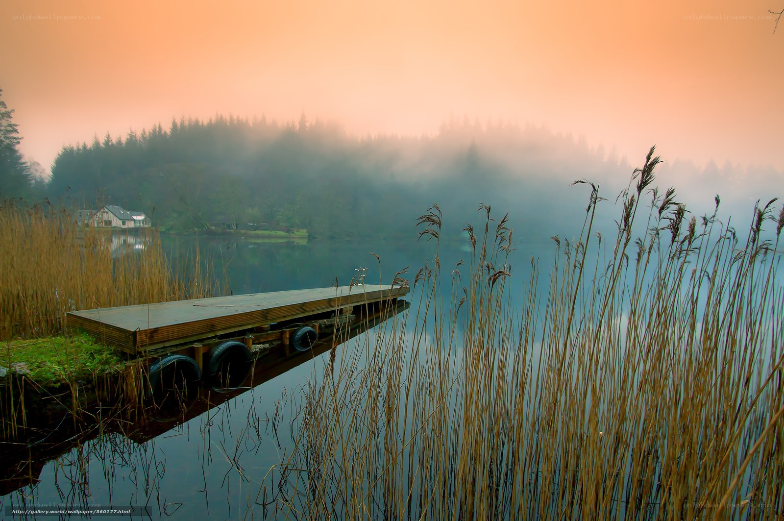 Foggy lake at dawn