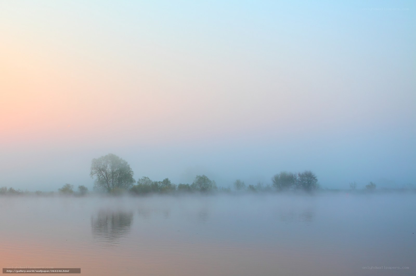 Foggy lake at dawn