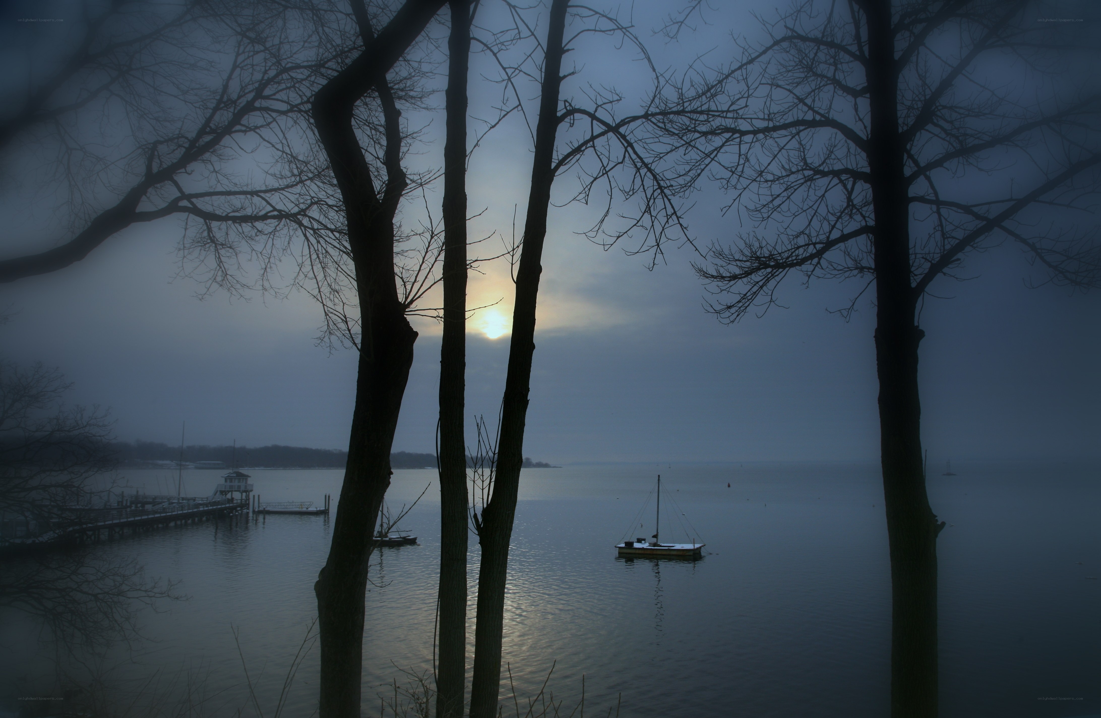 Foggy lake at dawn