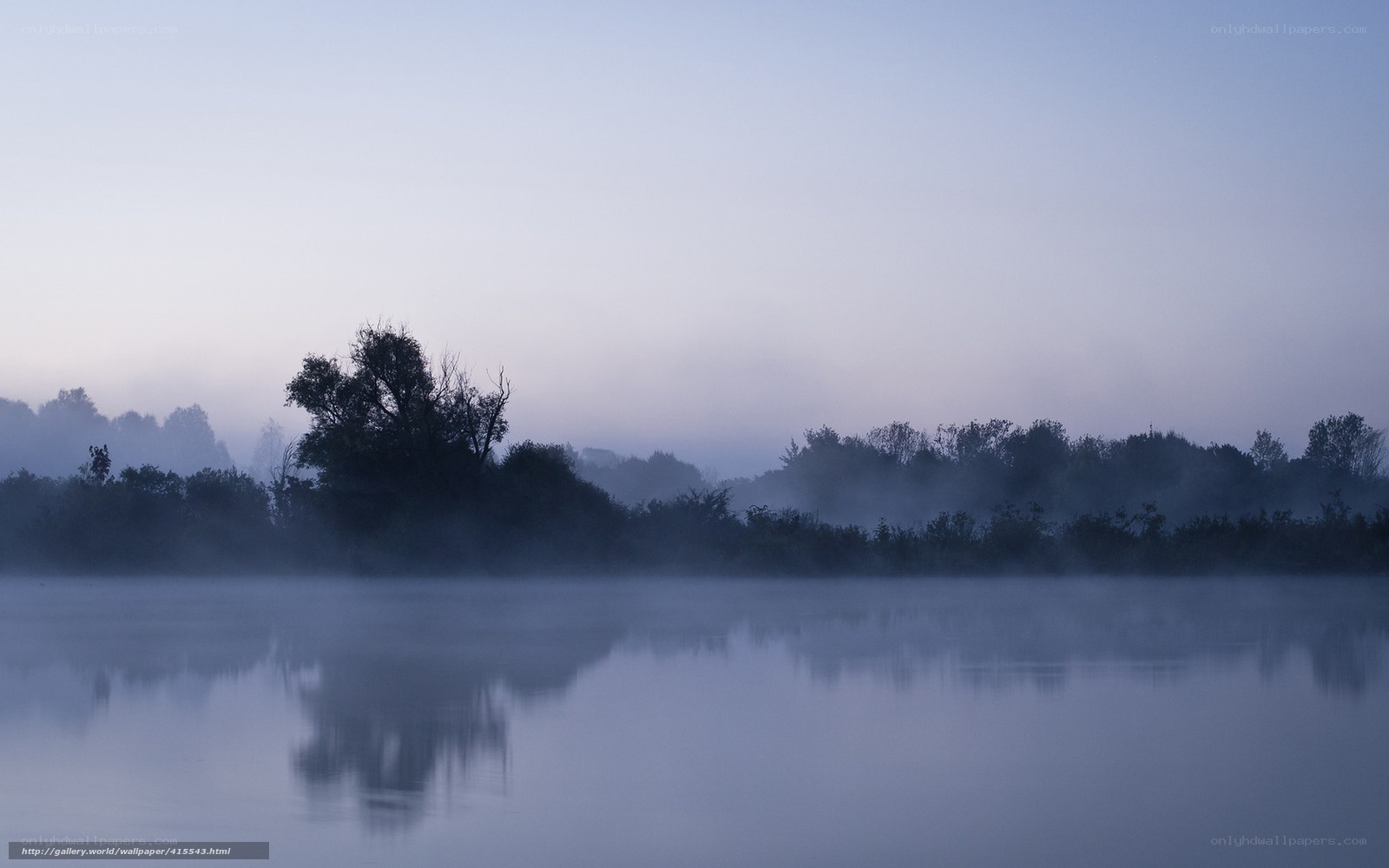 Foggy lake at dawn