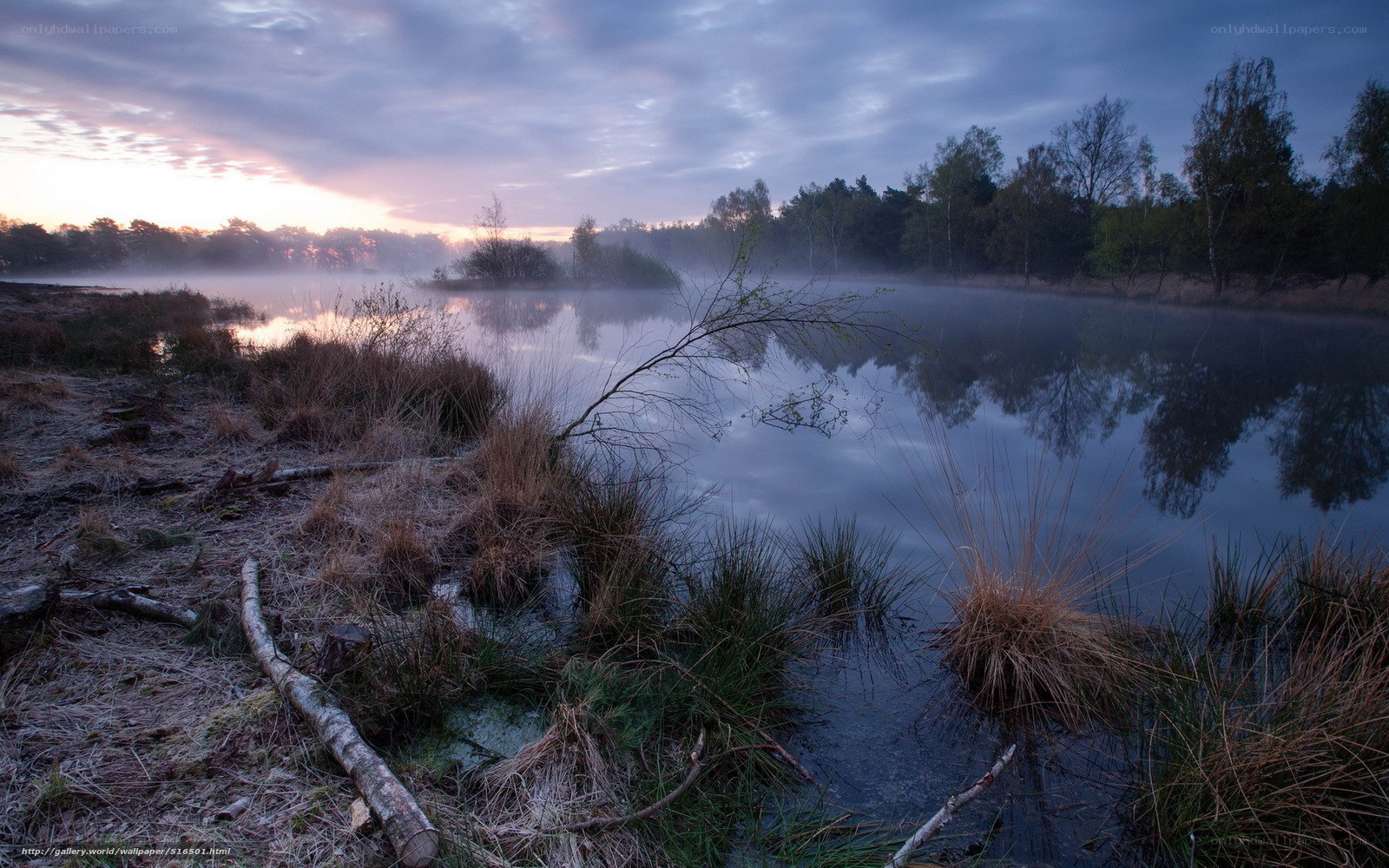 Foggy lake at dawn
