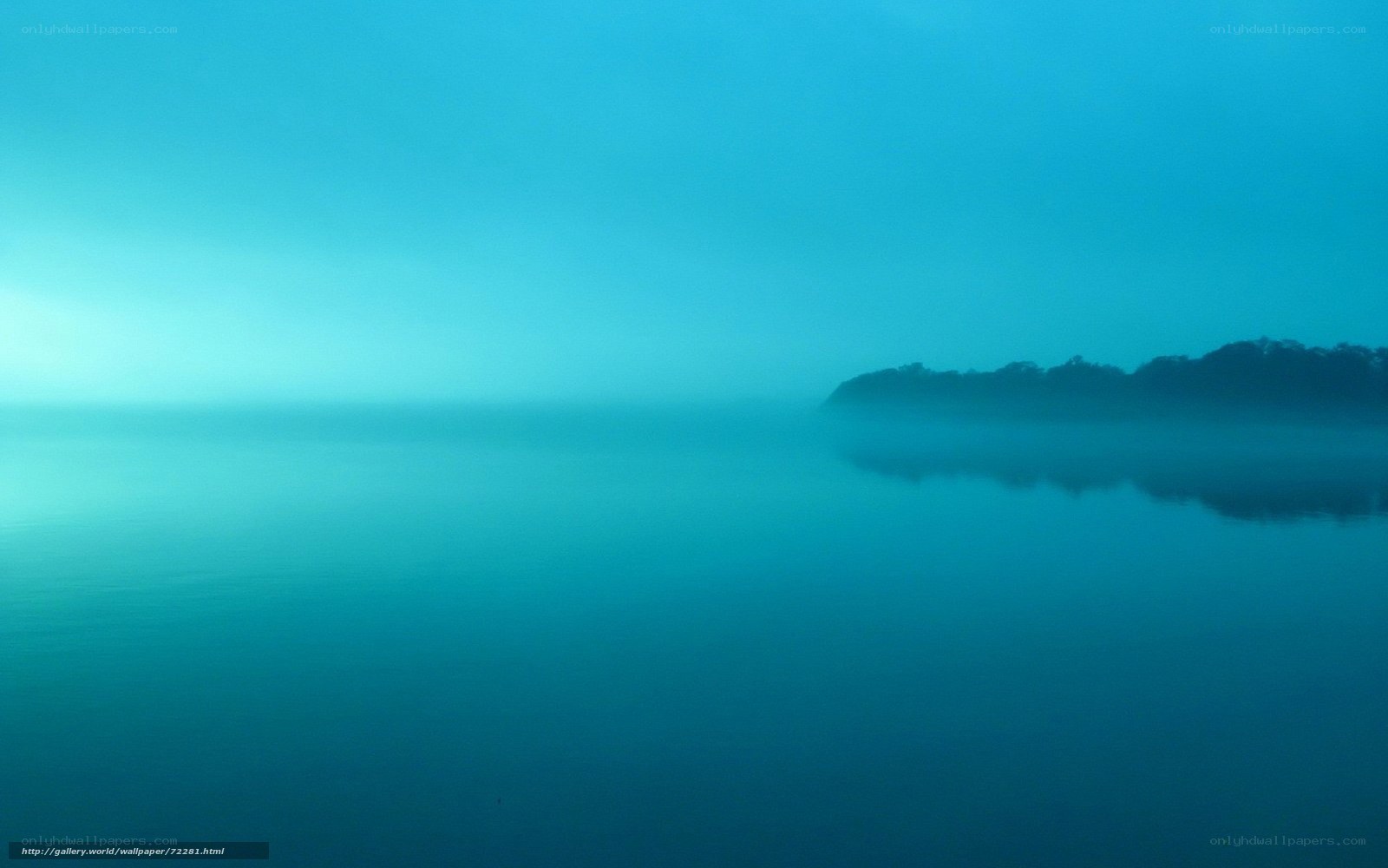 Foggy lake at dawn