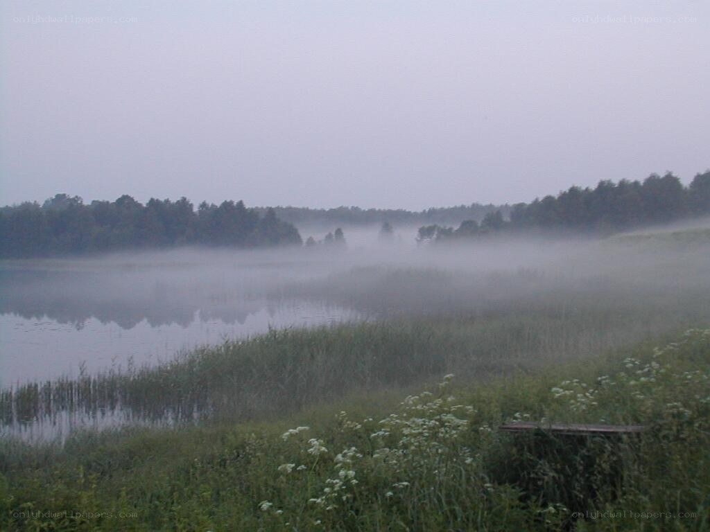 foggy lake at dawn