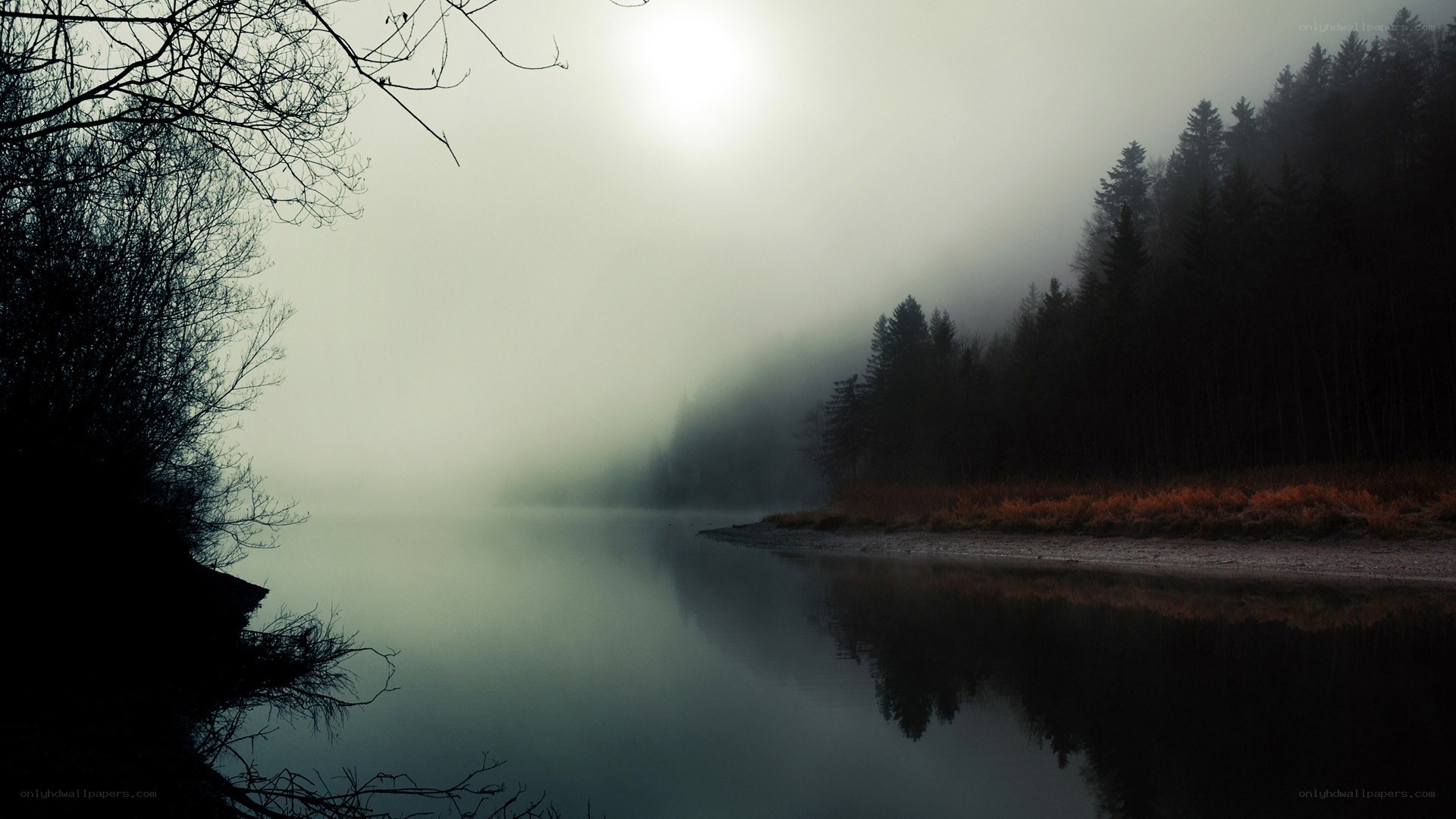 Foggy lake at dawn