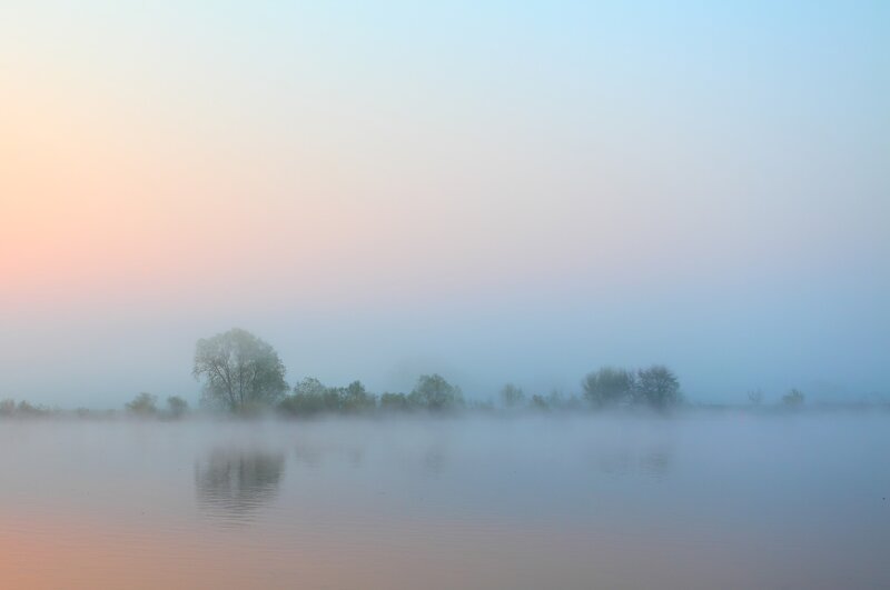 Foggy lake at dawn