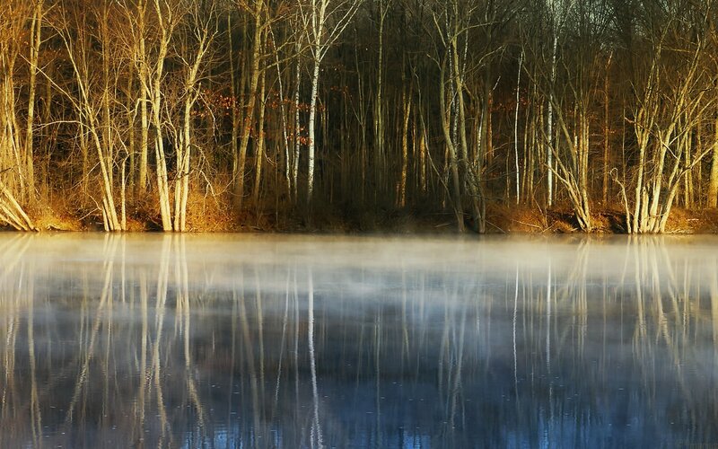 Foggy lake at dawn