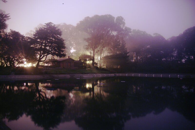 Foggy lake at dawn