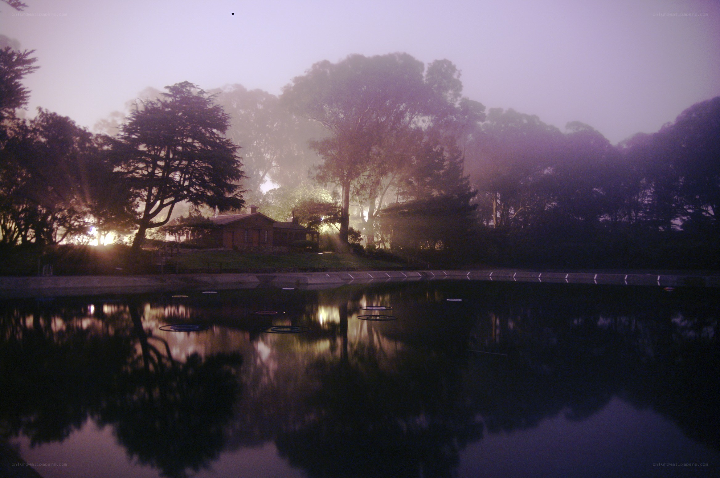 Foggy lake at dawn
